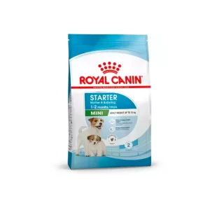 Royal Canin Mini Starter Mother & Babydog Dry Food 1kg/3kg – Small Breed Gestation Support