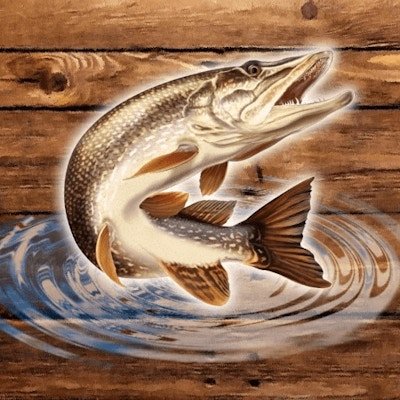 Fishdom - Ảnh 2