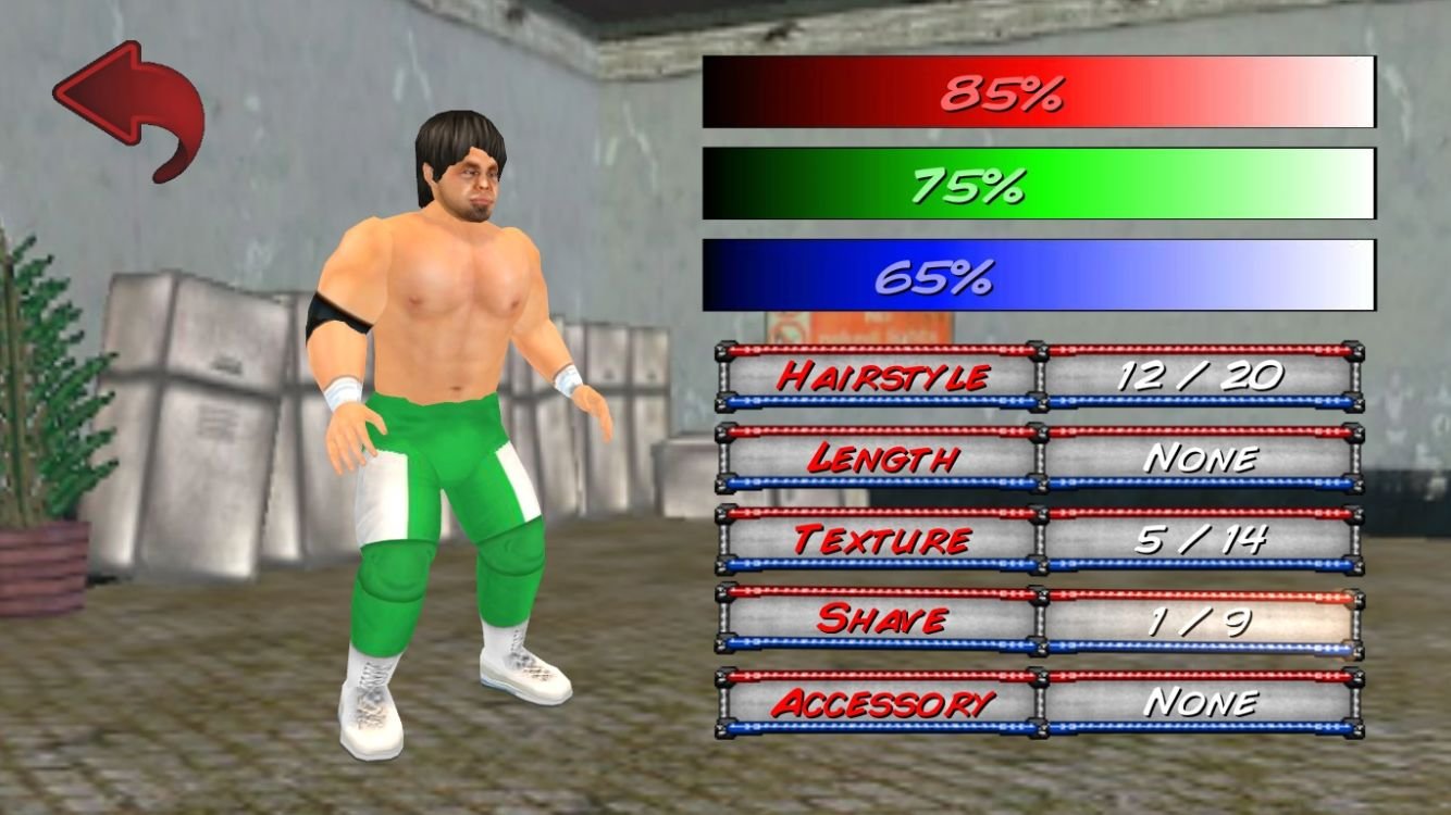 Wrestling Revolution - Ảnh 2